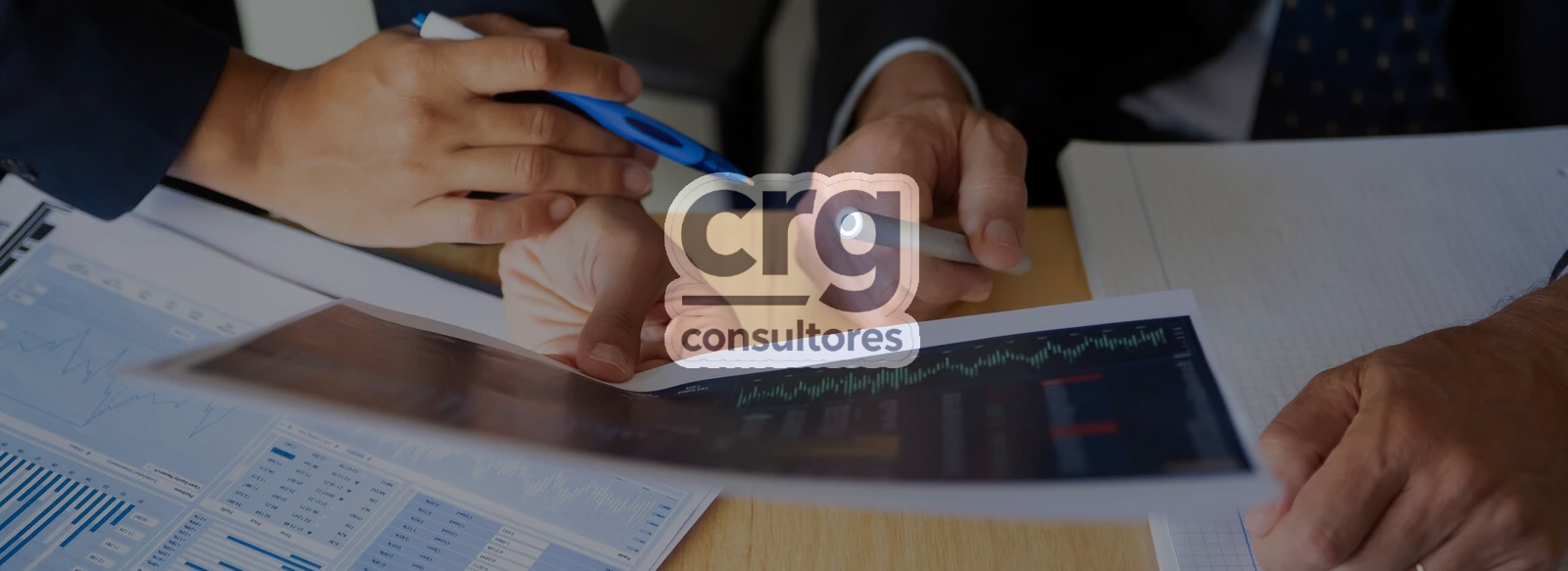 Crg consultores